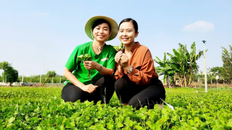 Khi người trẻ quay về với nông nghiệp (30/04/2021)