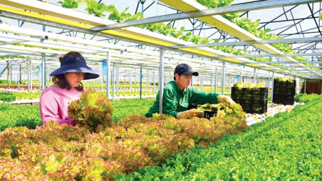 - Vì sao ngành nông nghiệp vẫn khó thu hút đầu tư (17+18/04)