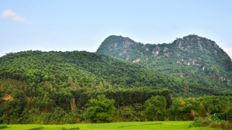 Tuyên Quang: Phát triển kinh tế lâm nghiệp theo hướng bền vững (05/05/2021)