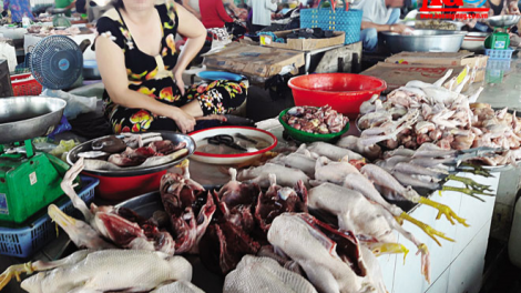 Các vụ thực phẩm bẩn liên tiếp bị báo chí phanh phui – Phải làm gì để chấn chỉnh vấn nạn đầy nhức nhối này? (24/5/2021)