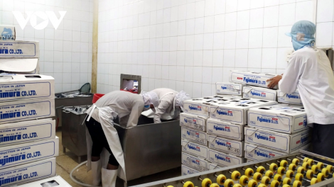 Vượt khó khăn, 4 tháng đầu năm nay xuất khẩu nông sản tăng trưởng mạnh (14/05/2021)