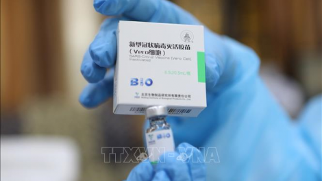 WHO cấp phép sử dụng khẩn cấp vaccine Sinopharm của Trung Quốc (08/05/2021)