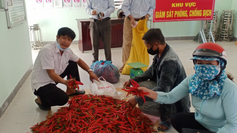 Nông sản rớt giá, Hội Nông dân Đà Nẵng làm cầu nối tiêu thụ (22+23/05/2021)