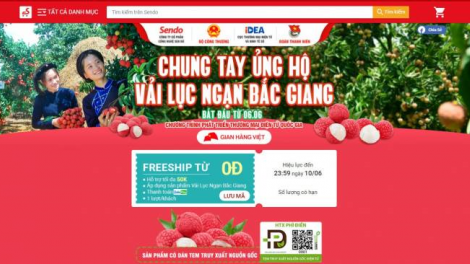 Các sàn thương mại điện tử thúc đẩy tiêu thụ nông sản ( 08/06/2021)