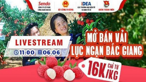 Nông dân Bắc Giang Livestream bán vải thiều: Giải pháp hỗ trợ thiết thực từ các Sàn thương mại điện tử (7/6/2021)