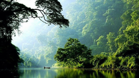 Ngày Môi trường thế giới 5/6 - Điểm khởi đầu để con người “làm hòa” với thiên nhiên (5/6/2021)