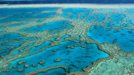 Tranh cãi kế hoạch của UNESCO về rạn san hô Great Barrier của Australia (25/06/2021)