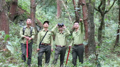 Chuyện những người bám núi, giữ rừng ở Tuyên Quang (30/06/2021)