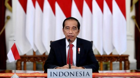 Indonesia phát triển ngành công nghiệp xanh lớn nhất thế giới (02/06/2021)
