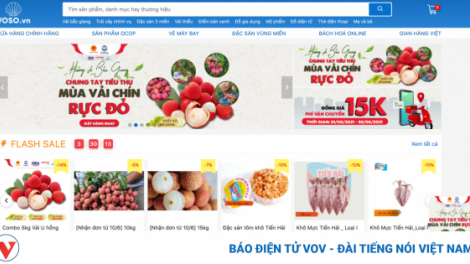 6 sàn thương mại điện tử khởi động chương trình hỗ trợ tiêu thụ vải thiều, Bắc Giang  (6/6/2021)
