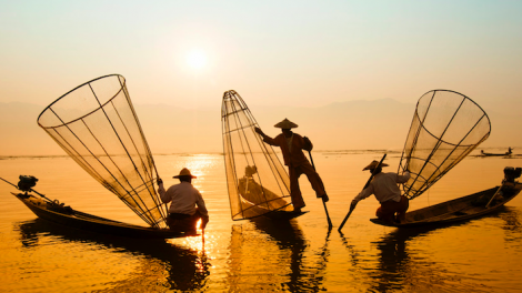 Đại dương: Cuộc sống và Sinh kế (08/06/2021)