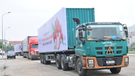 Liên kết các sàn thương mại điện tử - đa dạng kênh tiêu thụ hàng Việt (10/06/2021)