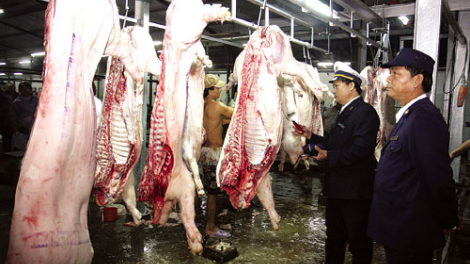 Kiểm soát hoạt động giết mổ sản phẩm chăn nuôi (28/06/2021)