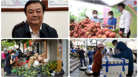 Kết nối nông sản - vượt qua đại dịch (08/06/2021)