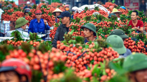 Để sản phẩm nông sản là niềm tự hào của người dân (10/06/2021)