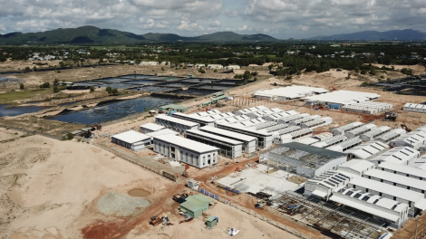 "Vỡ mộng" về trung tâm sản xuất giống thủy sản lớn nhất Đông Nam Bộ (03/06/2021)