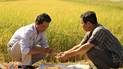 Tấm gương điển hình gia đình hiếu học người dân tộc Khmer (28/6/2021)