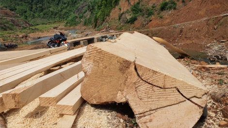 Thủy điện Tr'Hy 13 năm xây chưa xong, nhiều cây rừng bị chặt hạ (17/06/2021)