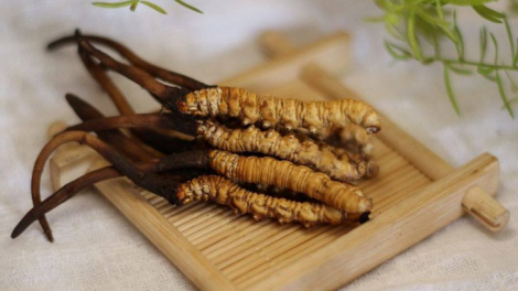 Hỗ trợ điều trị bệnh tiểu đường với Nano đông trùng hạ thảo (27/7/2021)