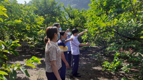 Quảng bá, tiêu thụ nông sản Thái Nguyên trong đại dịch Covid-19 (19/7/2021)