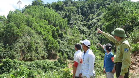 Đà Nẵng ngăn chặn người dân vào rừng chặt cây ươi khai thác quả (8/7/2021)