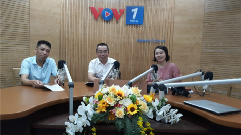 Đào tạo từ xa – kết nối doanh nhân khởi nghiệp lại gần (11/07/2021)