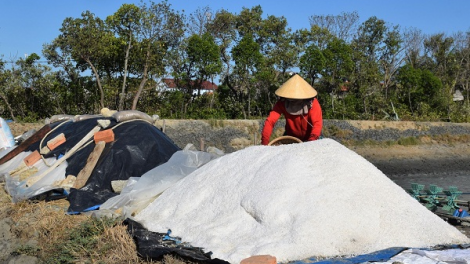 Bình Định: Giá muối xuống thấp, diêm dân gặp khó khăn (06/07/2021)