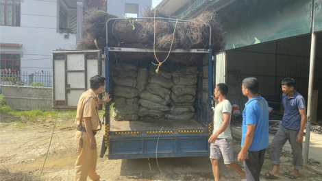 Cần giải pháp căn cơ ngăn chặn nhập lậu thuốc lá nguyên liệu (05/07/2021)