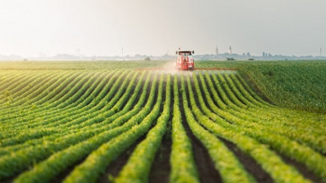 Chuyển đổi tư duy kinh tế nông nghiệp theo hướng “hợp tác, liên kết, thị trường” (04/08/2021)