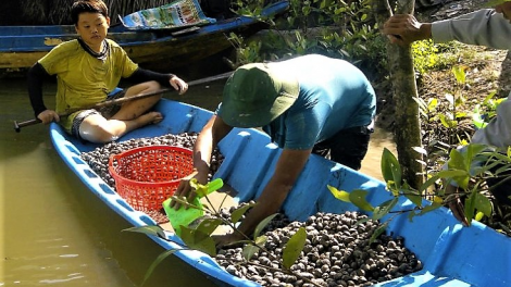 Cà Mau: Giá nhiều loại nông sản, thủy sản giảm mạnh (12/8/2021)