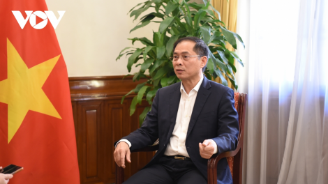 Bộ trưởng Ngoại giao Bùi Thanh Sơn: “Ngoại giao vaccine là mặt trận quan trọng trong chiến lược vaccine của cả nước” (17/8/2021)