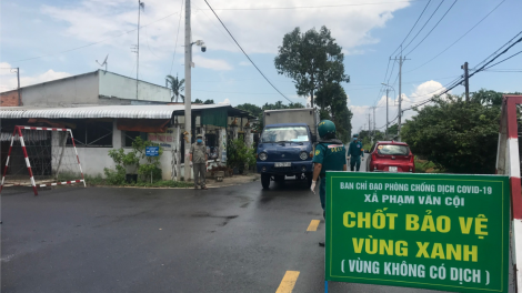 TP Hồ Chí Minh: Chung sức giữ vững và mở rộng “vùng xanh” tại huyện Củ Chi (16/08/2021)