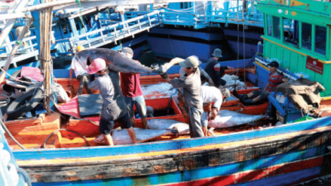 Sơ chế, bảo quản trên tàu khai thác hải sản - cần được quan tâm, đầu tư (22/08/2021)