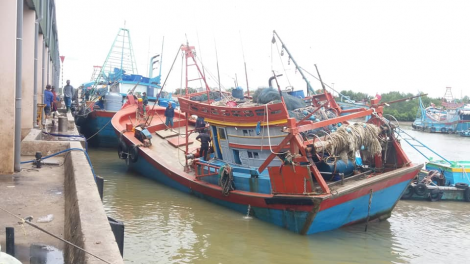 Tiền Giang: Cảng cá Vàm Láng đảm bảo an toàn, thông suốt hàng hóa cho ngư dân (30/08/2021)