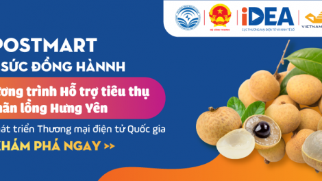 Thương mại điện tử cần được tạo điều kiện tốt hơn, phát triển xứng với tiềm năng (05/08/2021)