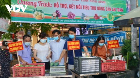 Bí thư huyện ủy là tổ trưởng tổ sản xuất, tiêu thụ nông sản (03/08/2021)