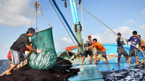 Xử phạt nặng với những hành vi vi phạm khai thác bất hợp pháp trên biển (3/8/2021)