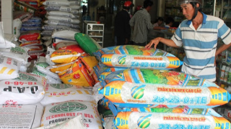 Vì sao giá phân bón liên tục tăng cao (26/08/2021)