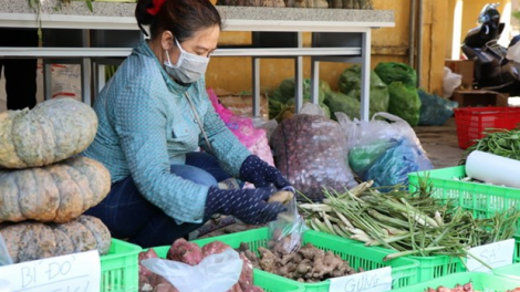 THỜI SỰ 6H SÁNG 27/08/2021: Đà Nẵng khôi phục hoạt động các chợ truyền thống, các cửa hàng tạp hóa tại các khu dân cư