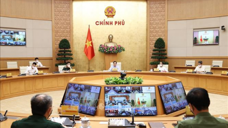 Thủ tướng họp với các địa phương về phòng, chống khai thác thủy sản bất hợp pháp (7/9/2021)