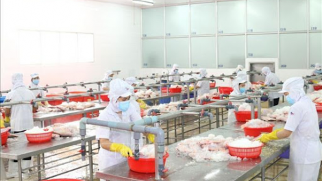 THỜI SỰ 12H TRƯA 02/09/2021: Nhiều doanh nghiệp duy trì sản xuất theo phương án “3 tại chỗ”