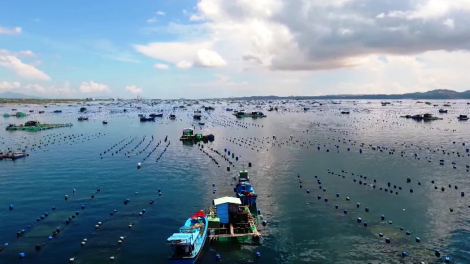 Khánh Hòa tìm giải pháp tháo gỡ đầu ra cho thủy sản (21/09/2021)