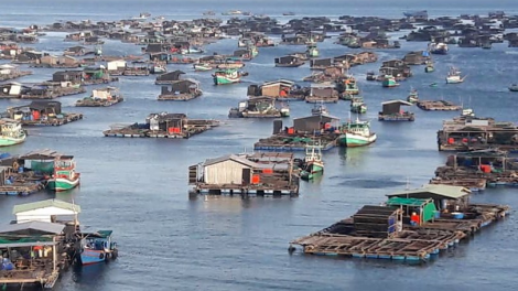 Chủ động trong nuôi trồng thủy sản ứng phó với thời tiết cực đoan (21/09/2021)