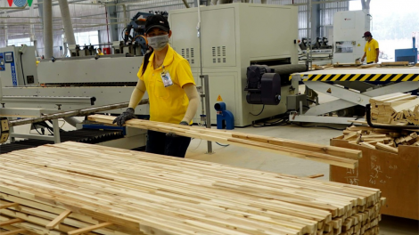 Đẩy mạnh liên kết phát triển bền vững ngành chế biến, xuất khẩu gỗ và lâm sản (10/09/2021)