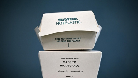 Từ ý tưởng bao bì thay thế rác thải nhựa đến giải thưởng môi trường của Hoàng gia Anh (29/01/2023)