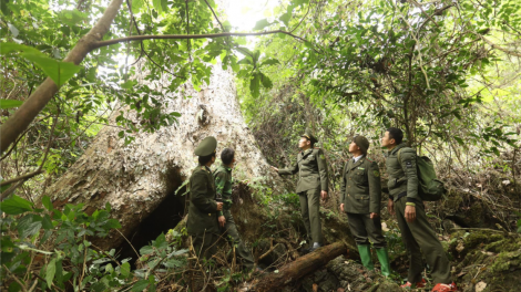 Lâm Bình, Tuyên Quang - Dựa vào cộng đồng bảo vệ “lá phổi xanh” (17/01/2023)