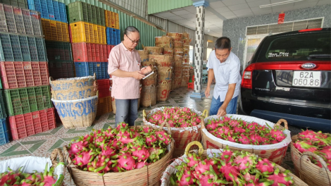 Doanh nghiệp nông sản “loay hoay” khi Trung Quốc mở cửa khẩu (17/1/2023)