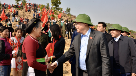 Chủ tịch Quốc hội:  Người trồng rừng phải sống được từ rừng và  giàu lên từ rừng (30/1/2023)