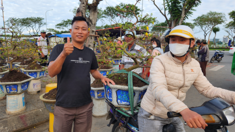 Hoa, cây cảnh ngày Tết: Vạn người bán, chục người mua (21/1/2023)
