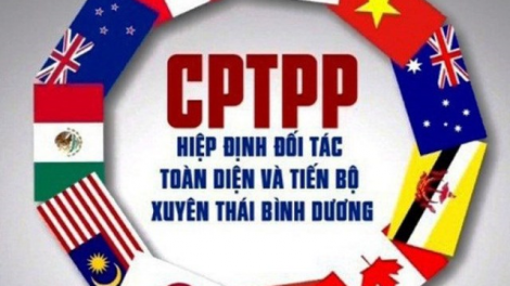 Nhìn lại 4 năm Hiệp định CPTPP có hiệu lực với Việt Nam: Những điểm cần lưu ý (12/1/2023)